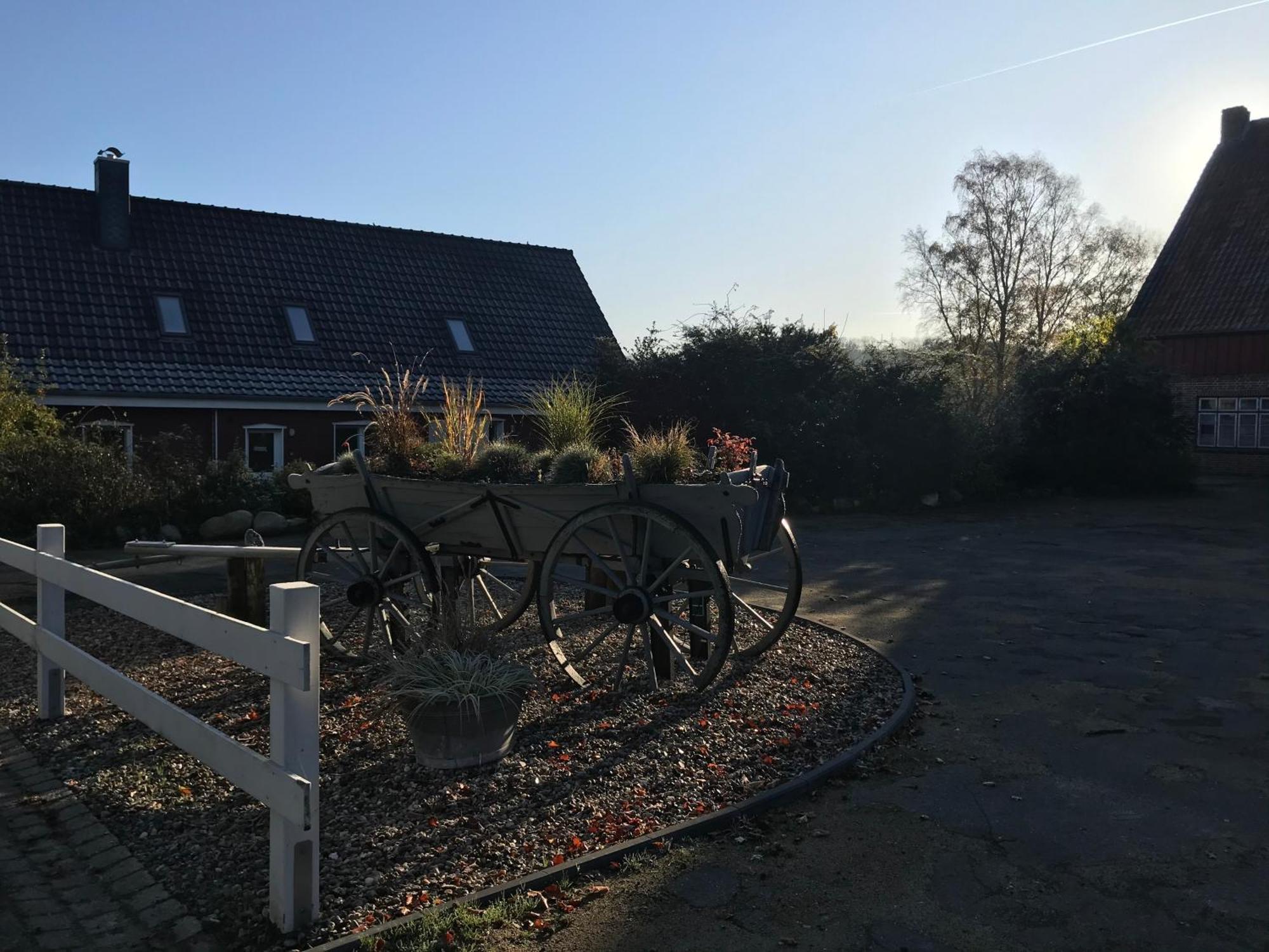 Moderne Ferienwohnung Auf Gut Bennewohld Wl Heide  Exterior foto